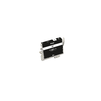 Compatible Epson T0441
